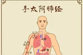 中医必背！汤头歌诀之十二经脉歌图片