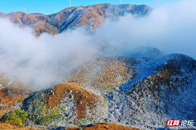 【每日一图@湖南】雾凇挂枝，流云绕风车！桂东万洋山冬景如画