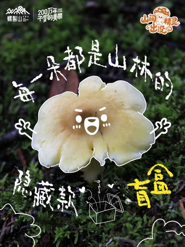游玩攻略 | 山间精灵出没！快来螺髻山开盲盒