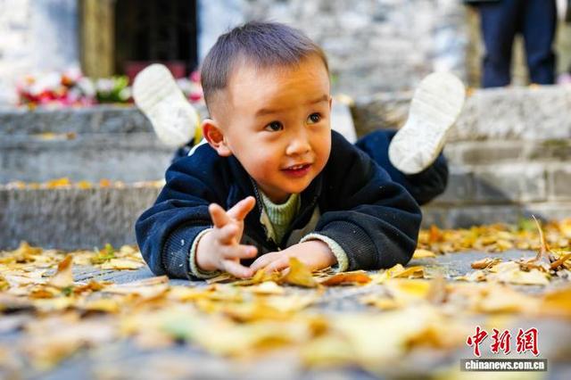 湖北襄阳秋色如画游人如织