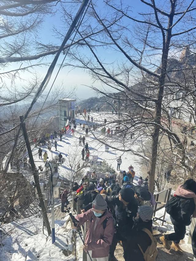 火上热搜！雪后崂山美到刷屏，市民游客排队打卡！