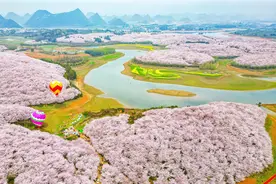 多彩贵州·花漾中国｜黔中春暖好赏花！探访贵阳贵安热门赏花打卡地图片