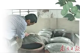 青梅果酒：梅香四溢 百年传承图片