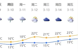 深新早点｜深圳年薪20万元以上女性人才超4成图片