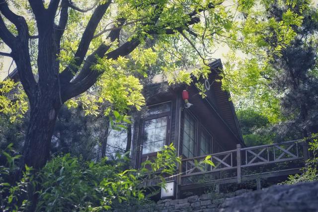 在淄博也能野奢度假!住进这三家山野民宿 成为风景的一部分……