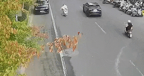 别再用电动车“挡风被”了！这些隐患要注意→