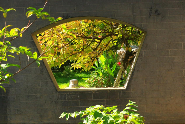 当硬核金川遇上温柔秋天，画面太治愈了！