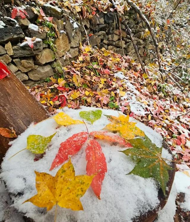 延边赏秋！邂逅最美“重阳”