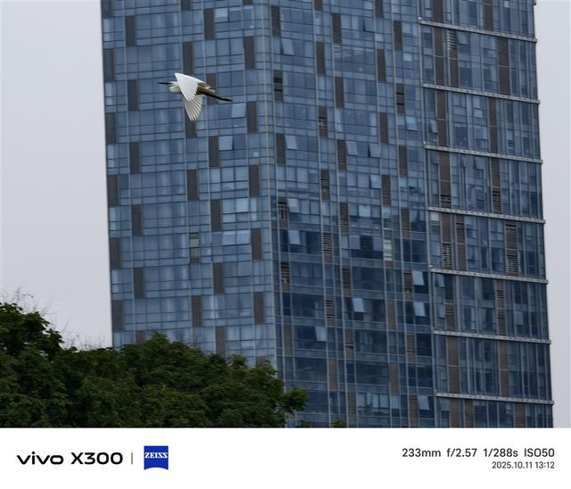 完美小屏影像旗舰！vivo X300手机评测：随手一拍就有德味 高阶技巧信手拈来