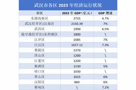 湖北观察丨武汉“千亿区”扩容至12个，6区2024年GDP目标增速在7%或以上图片