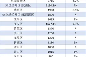 湖北观察丨武汉“千亿区”扩容至12个，6区2024年GDP目标增速在7%或以上图片