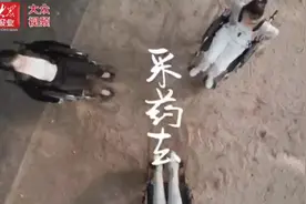 “中国好人”赵连翠事迹搬上荧幕！电影《琬翠》日照首映图片
