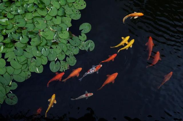 漫谈圆明 | 我和圆明园的十余年