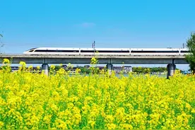 地震来袭时 我坐的高铁够安全吗图片