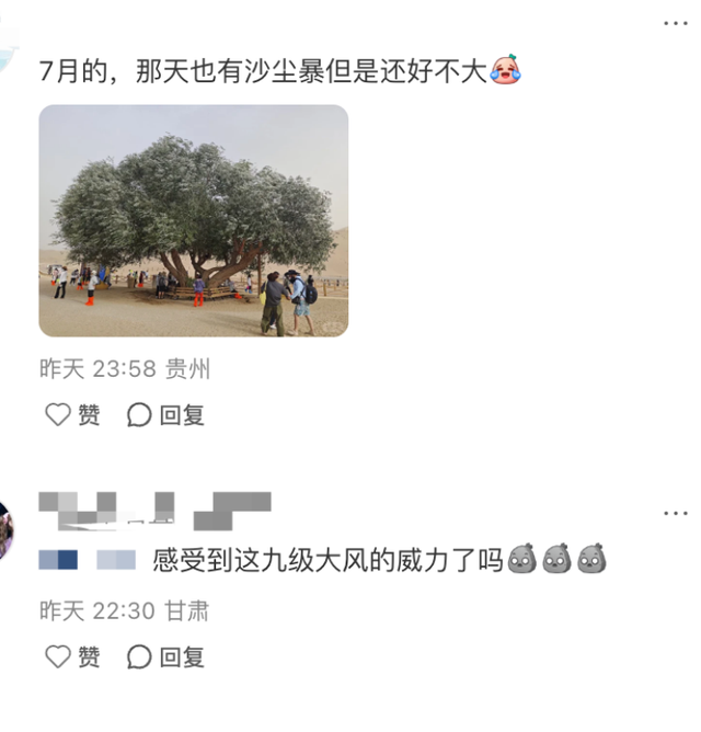 敦煌鸣沙山月牙泉“夫妻柳”被大风吹断裂？景区回应：已采取保护措施