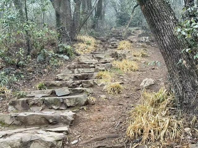 户外！户外！重要提醒