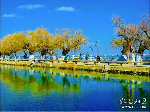 昆明小众人少看滇池喂海鸥的宝藏打卡地