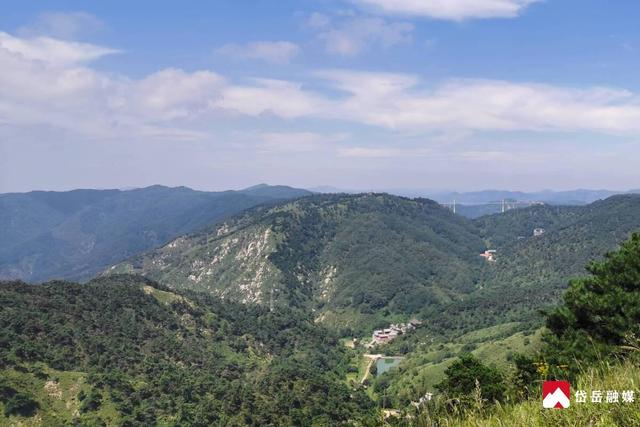 图集丨山东省泰安市岱岳区下港镇：光影染四季