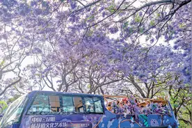 212项活动为你准备！“五一”来昆明就对了图片