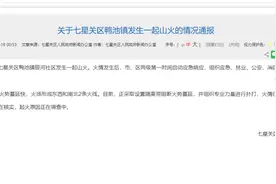 贵州毕节发生森林火灾：火势基本控制 无人员伤亡图片