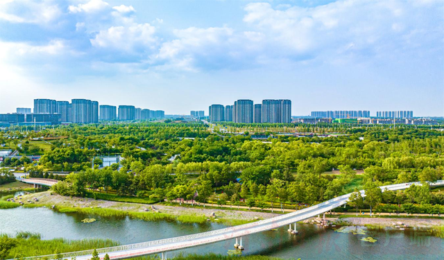 “最强大脑”再临郑州航空港 这一次，他带来了哪些干货？