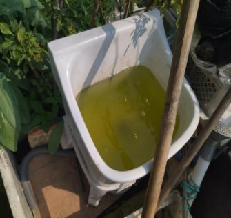 旅业场所如何防蚊灭蚊？指南来了→