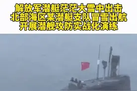 【解放军潜艇茫茫大雪中出击！】近日，北部海区某潜艇支队冒雪出航，开展潜舰攻防实战化演练。图片