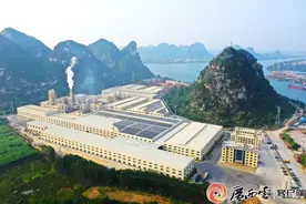 武宣：一棵“产业树”长出超67亿元年产值图片