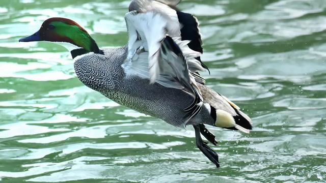 千年“曲水”,何以长流常新?