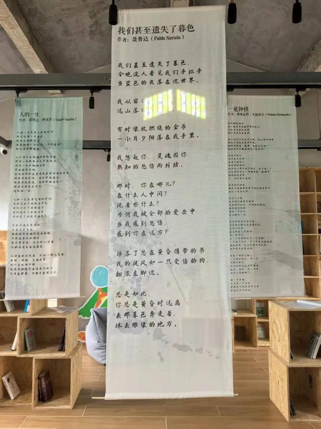“燕窝”里藏着一片“小宇宙”