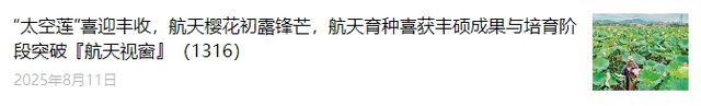 系列地面试验成功！谷神星二号运载火箭首飞进入倒计时！『航天视窗』（1318）