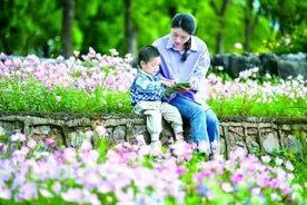 亲子阅读：共沐书香 陪伴成长——我国亲子阅读的现状调查及思考图片