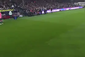 沉浸式执法，水晶宫vs曼联主裁头戴式摄像机的录像集锦公布图片