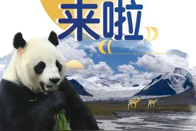 中国国家公园正式入驻抖音图片