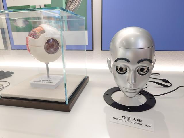国际仿生科学院落户昌平未来科学城