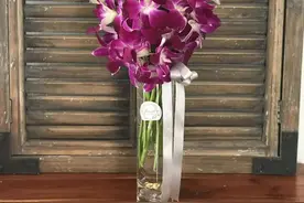 父亲节可以给父亲送什么花呢？送它吧图片