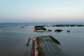 团洲垸洞庭湖大堤决堤始末：2小时的失利，77小时的“反攻”图片