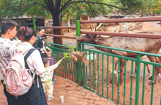 光影绘假日 文旅显活力