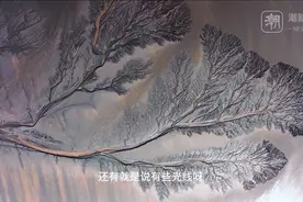 震撼！钱塘江“潮汐龙树”火出圈，拍摄秘籍来了图片