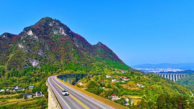 连晴！快出门秋游吧