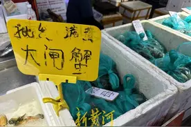 临近中秋螃蟹开始大卖，梭子蟹价格最高已达160元/斤图片