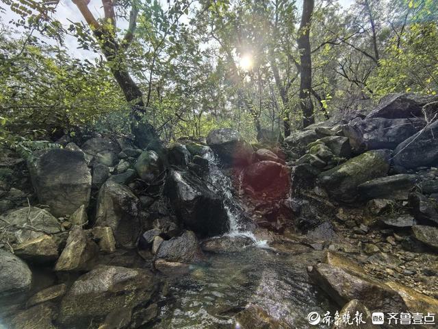 探秘泰山东御道：古道浸秋韵，溪流伴密林，保洁员日行近20公里护清幽