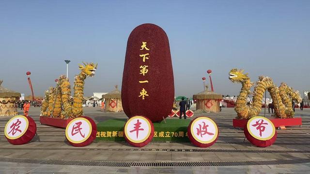 喀什的胡杨黄了，阿娜尔罕的心儿醉了