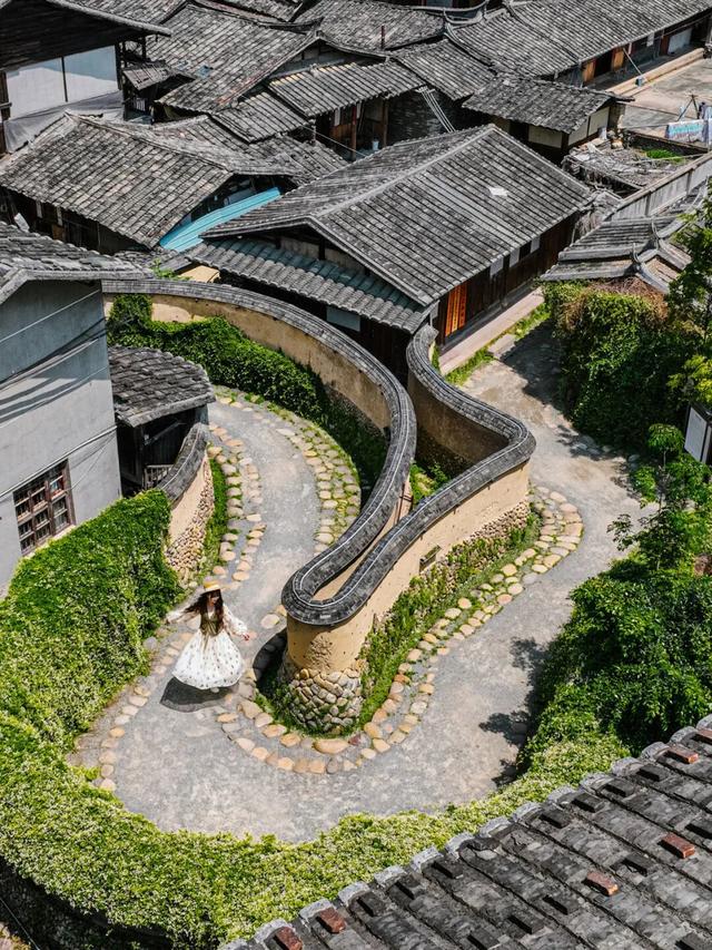 现存数量最多！赏银杏就来珠峰村