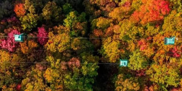 周末出发！河南最美彩色地图上线