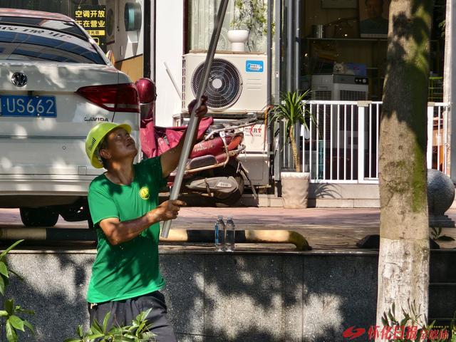 福地怀化 懂你如家 | 绿化家园迎旅发