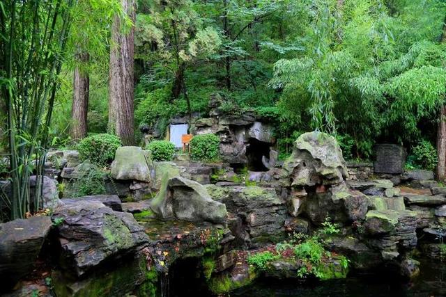 秋雨润红叶，红叶谷第25届红叶节等您来