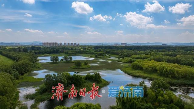 一年四季 泉在济南丨济南玉符河：水清岸绿，绘就生态新图景