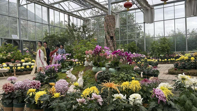 漳县：“美丽经济”带火全域旅游