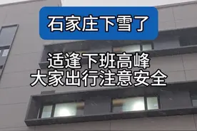 立春迎降雪，石家庄的雪如约而至！这份出行攻略请收好→图片